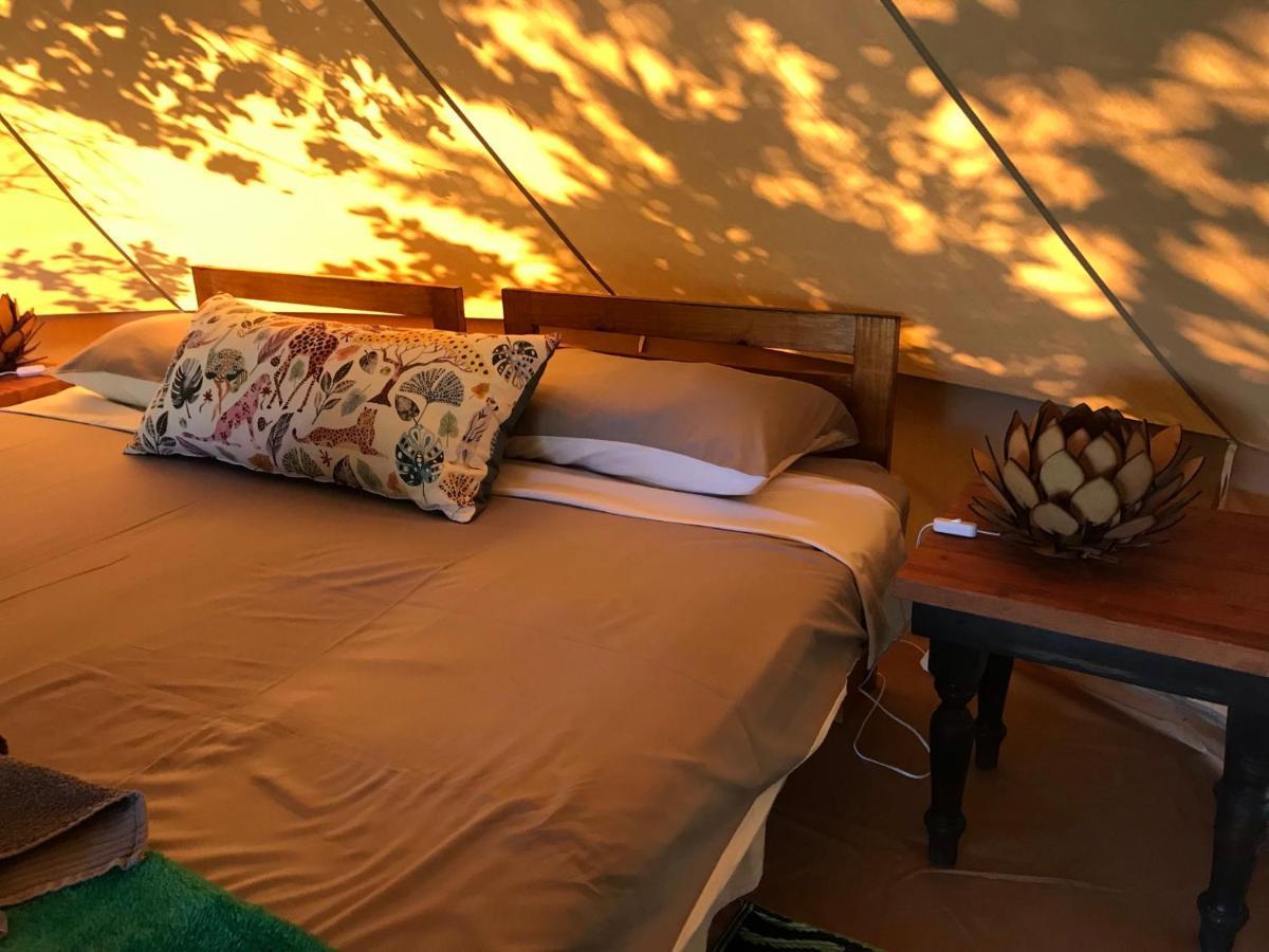 Hluhluwe Bush Camp Glamping Village Extérieur photo